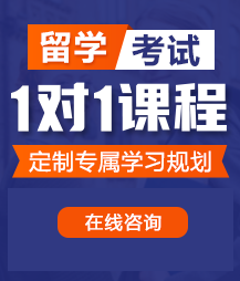 丝袜班主任被我操流水留学考试一对一精品课